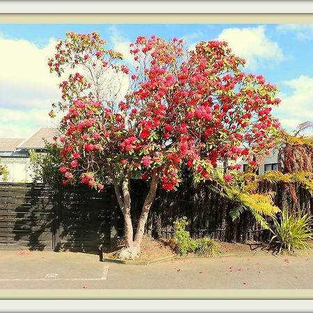 Victoria Lodge Rotorua Dış mekan fotoğraf
