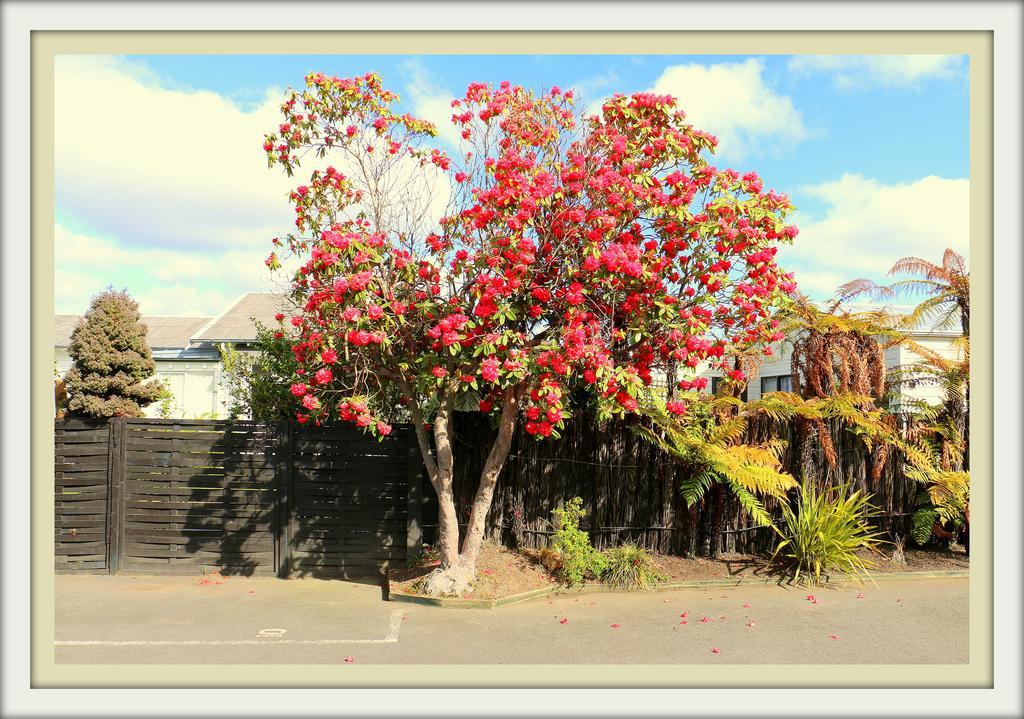Victoria Lodge Rotorua Dış mekan fotoğraf