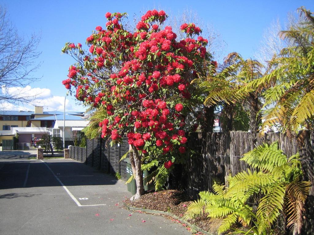 Victoria Lodge Rotorua Dış mekan fotoğraf